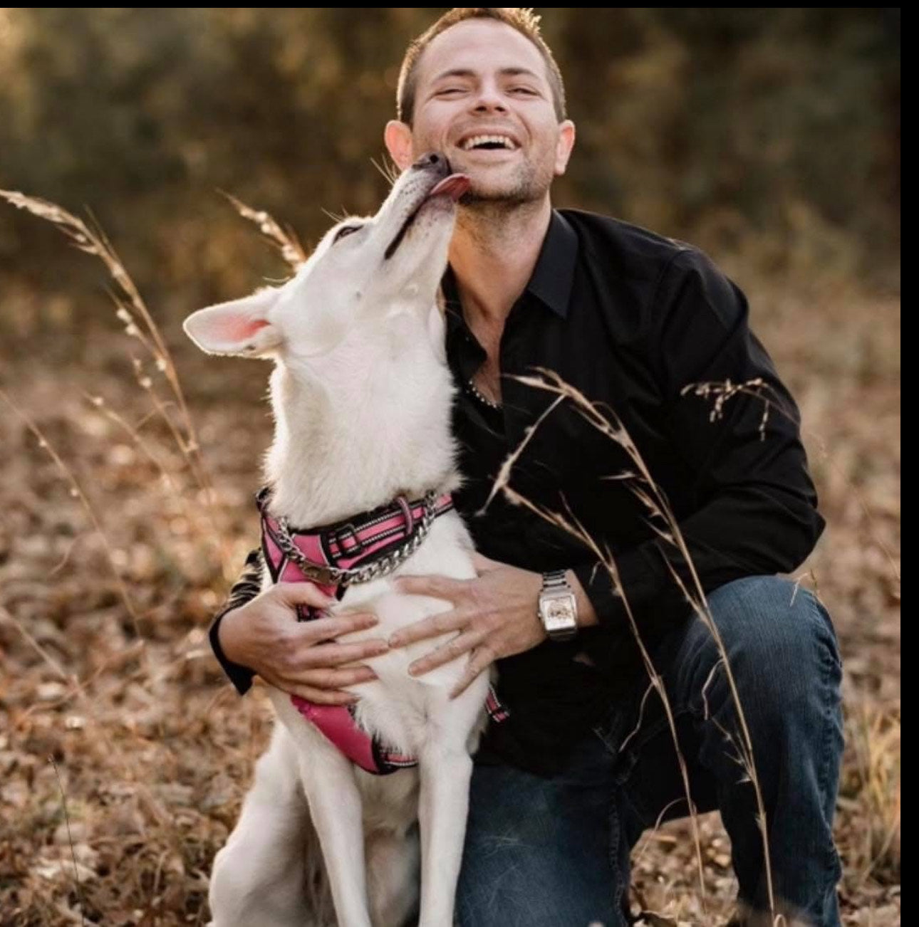 Pet Survival Gear | Keep Your Best Friend Safe