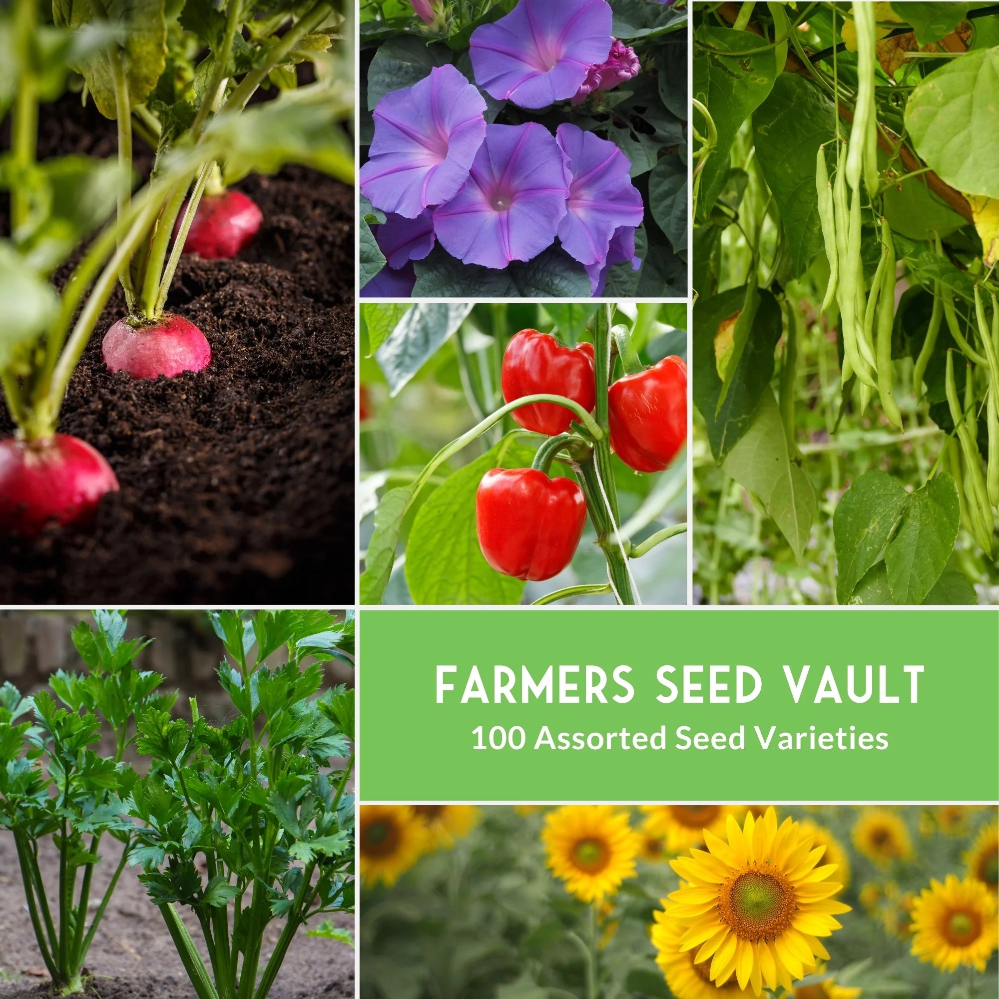 100 Pack Farmer Kit Vegetable Seeds - Non GMO Heirloom Full Sun Annual - Emergency Seed Bank Survival Gear
