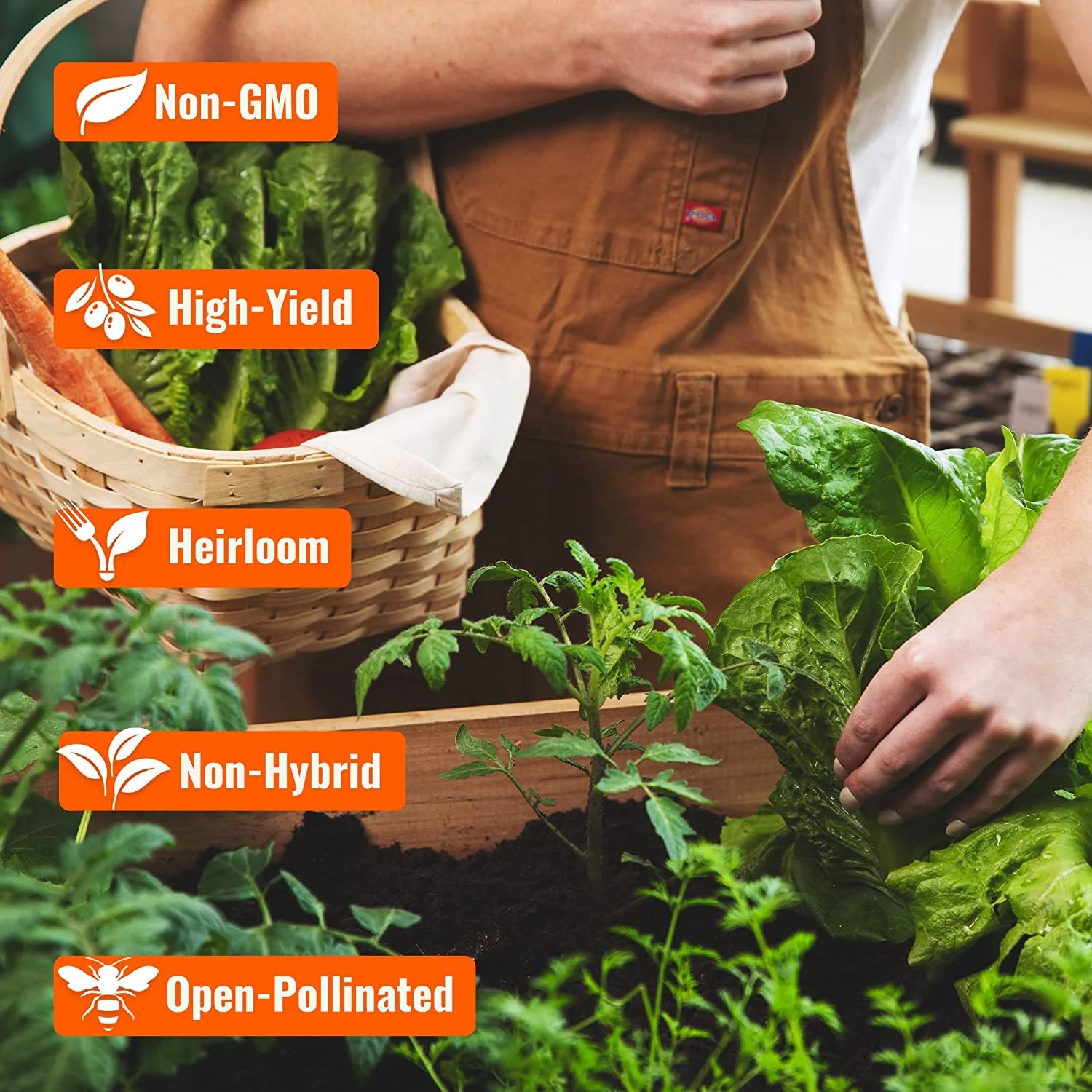 15000 Heirloom Vegetable & Fruit Seeds (32 Pack), Non-Gmo Organic