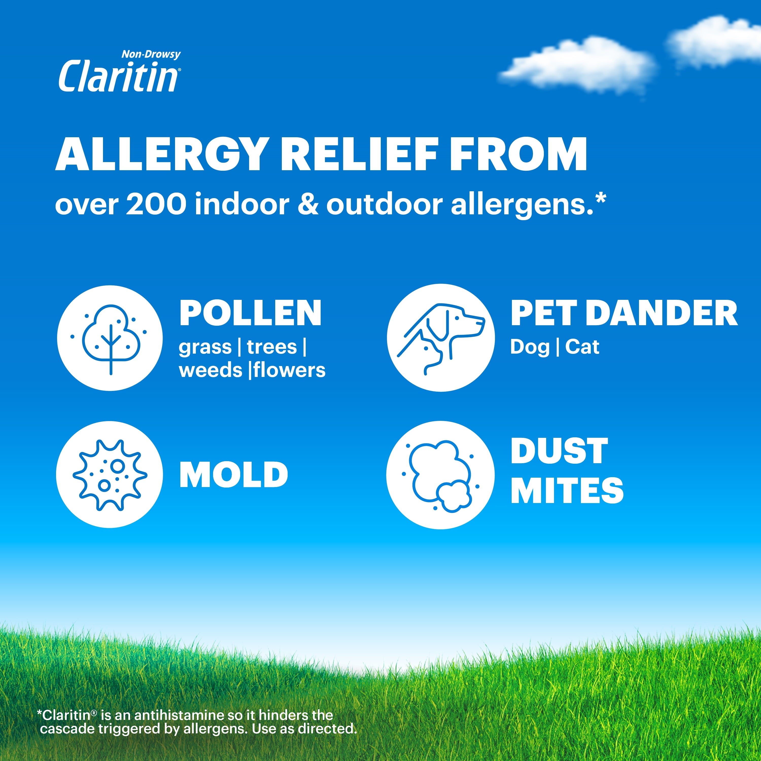 Allergy Relief 24 Hour Non-Drowsy Loratadine Antihistamine Allergy Medicine Tablets, 10 Count
