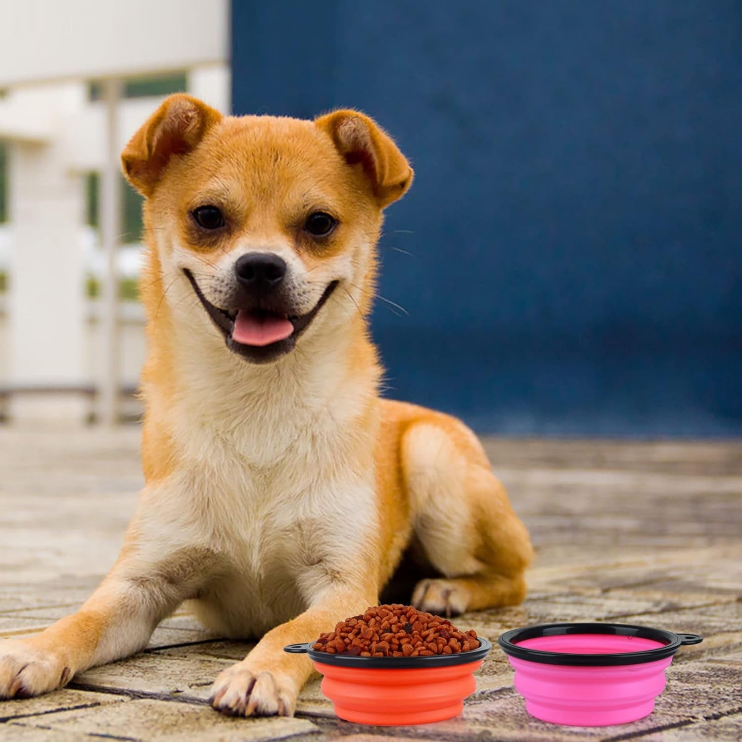 Collapsible Dog Bowl,2 Pack Portable and Foldable Pet Travel Bowls Collapsable Dog Water Feeding Bowls Dish for Dogs Cats and Small Animals,With Lids (Small, Pink+Orange)